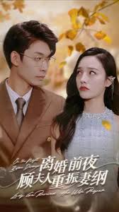 离婚前夜顾夫人重振妻纲全集(大结局)