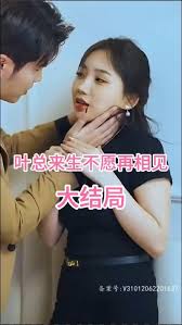 叶总来生不愿再相见全集(大结局)