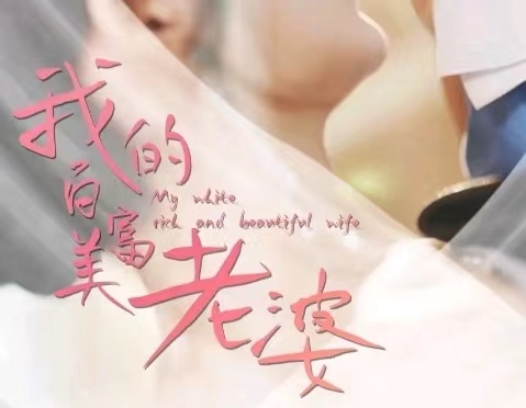 我的25岁白富美老婆全集(大结局)