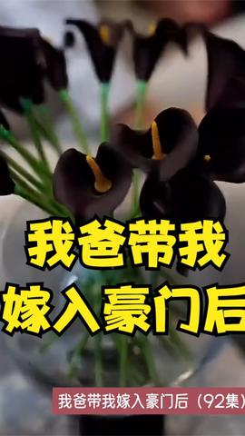 我爸带我嫁入豪门后全集(大结局)