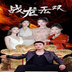 战龙无双全集(大结局)