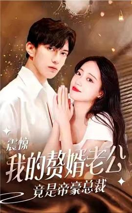 震惊！我的赘婿老公竟是帝豪总裁全集(大结局)