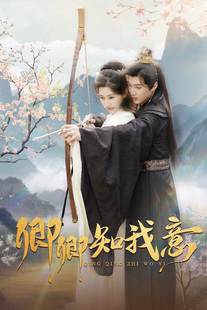 卿卿知我意第21-40集