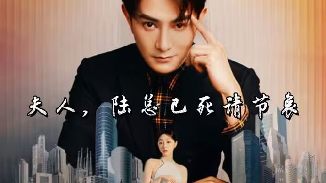 夫人，陆总已死请节哀 第1-30集