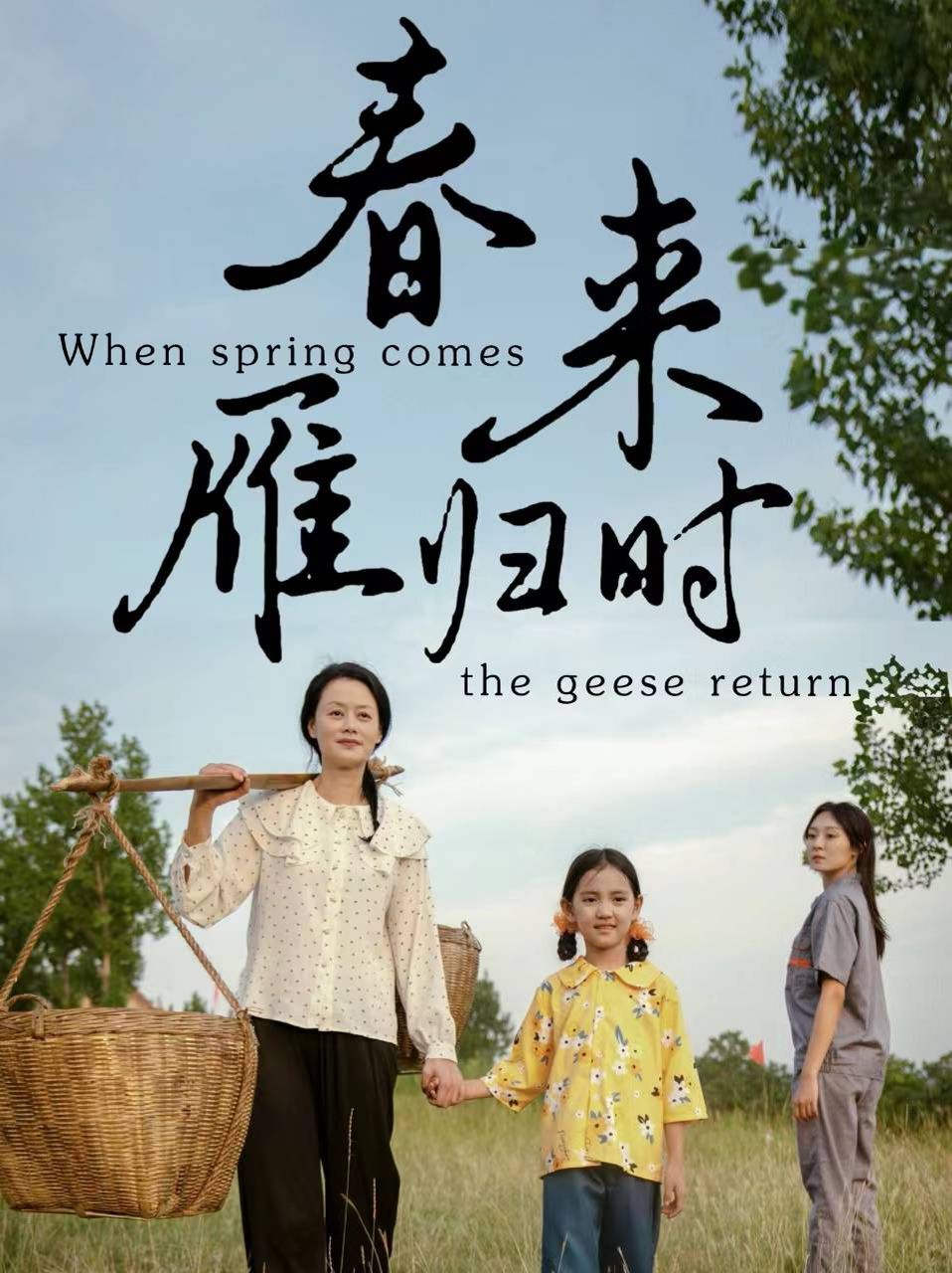 春来雁归时第21-40集