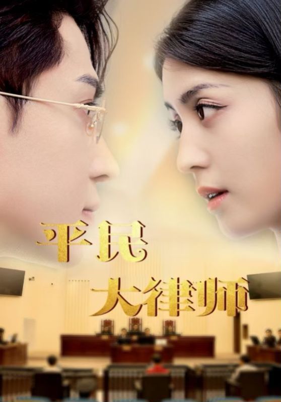 平民大律师第21-40集