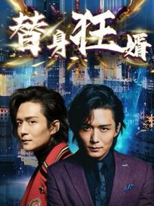 替身狂婿第21-40集