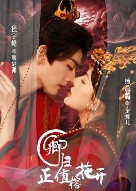 卿归正值榕花开(全集)