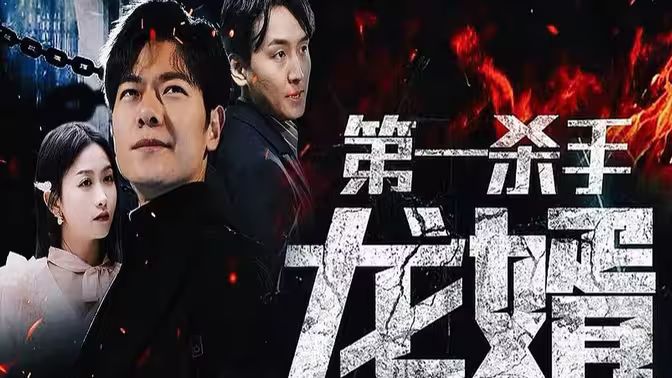 第一杀手龙婿第21-40集