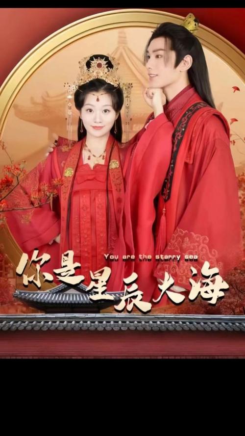 你是星辰大海第21-40集