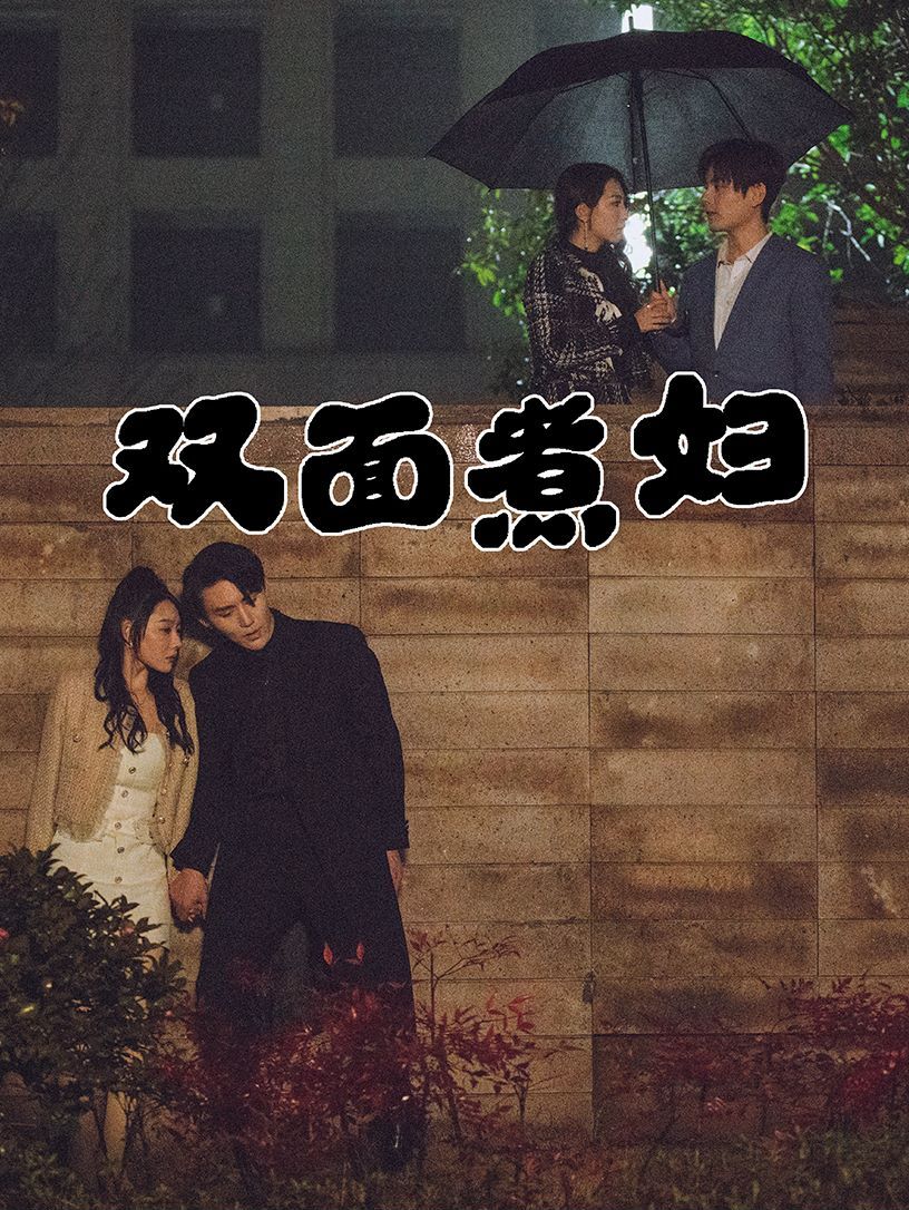 双面煮妇第21-40集