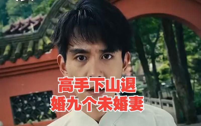 高手下山退婚九个未婚妻第21-40集
