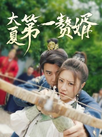 大夏第一赘婿第41-60集