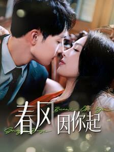 春风因你起第21-40集
