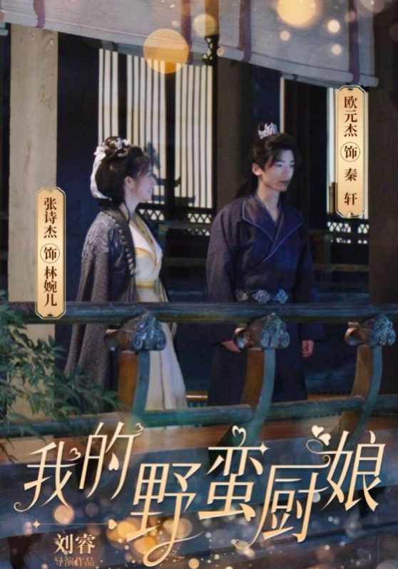 我的野蛮厨娘第21-40集