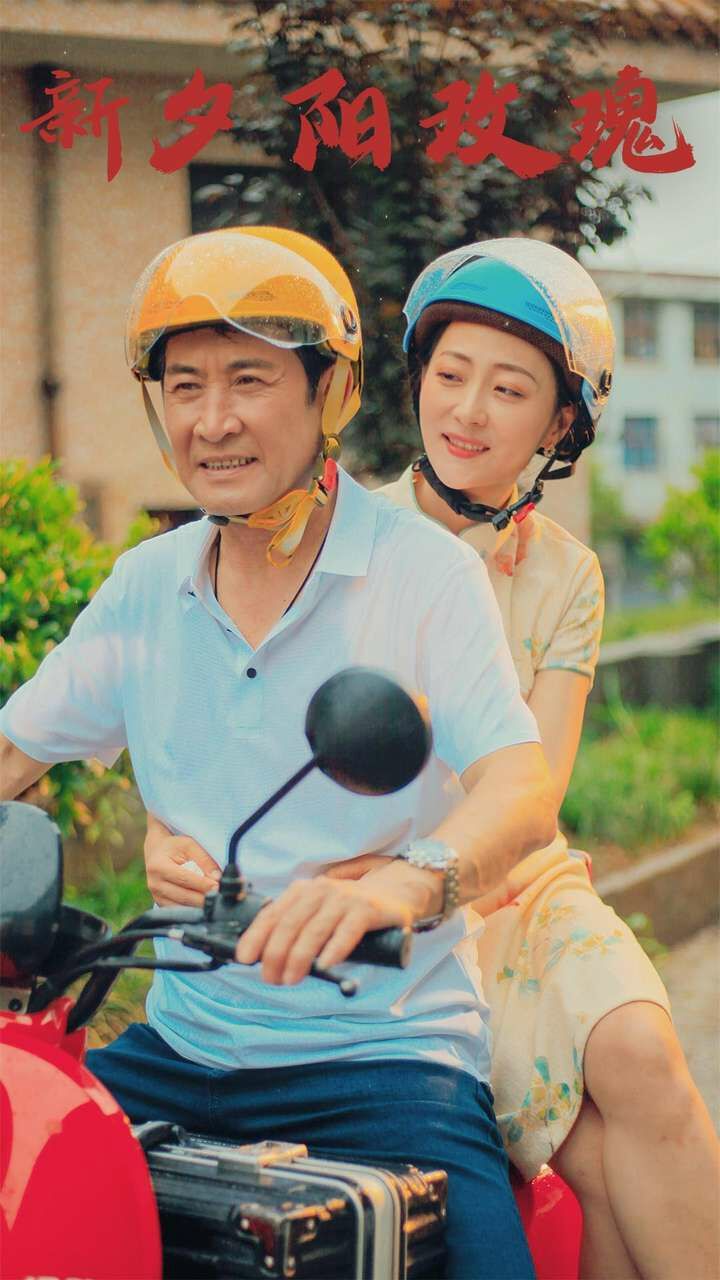 新夕阳玫瑰第21-40集