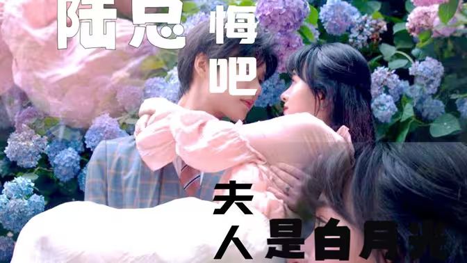 陆总忏悔吧，夫人才是白月光全集完结(大结局)