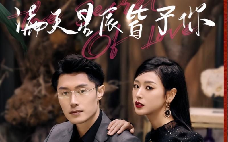 满天星辰皆予你全集(大结局)