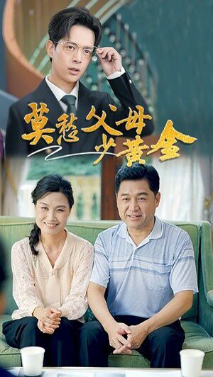 莫愁父母少黄金第21-40集