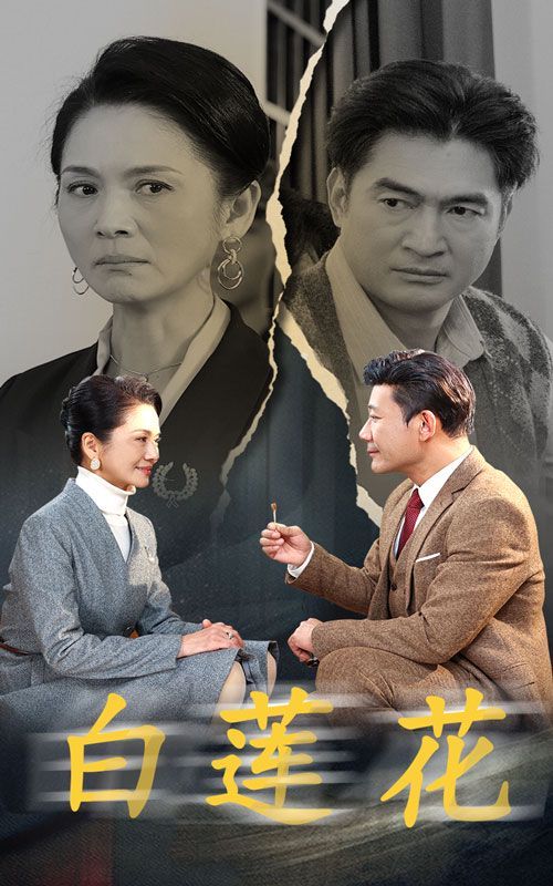 白莲花第21-40集完结(大结局)
