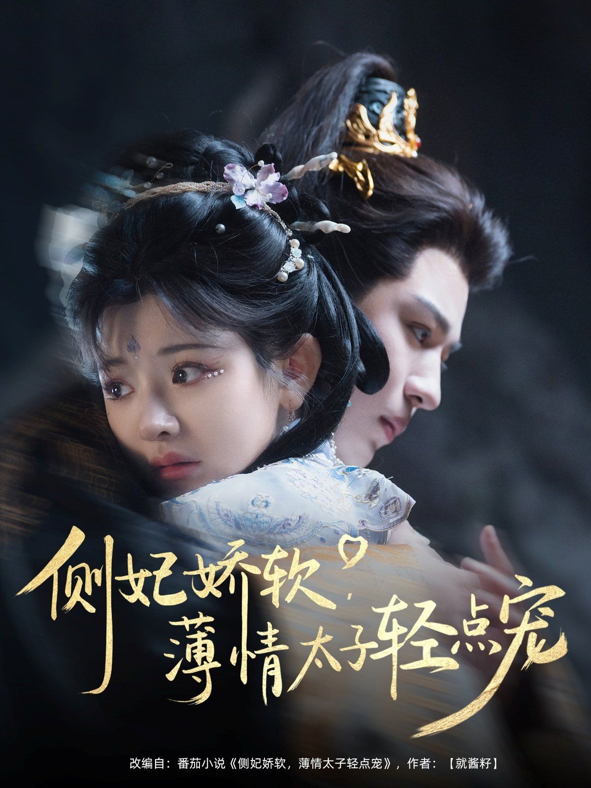 侧妃娇软薄情太子轻点宠(全集)