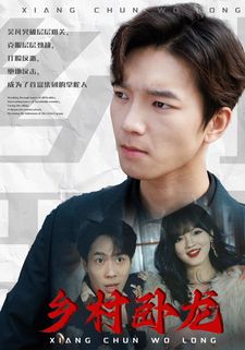 乡村卧龙第21-40集