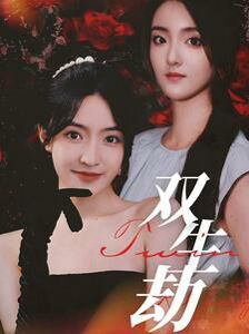 双生劫第41-60集