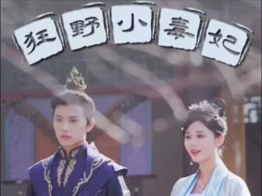 狂野小毒妃第41-60集