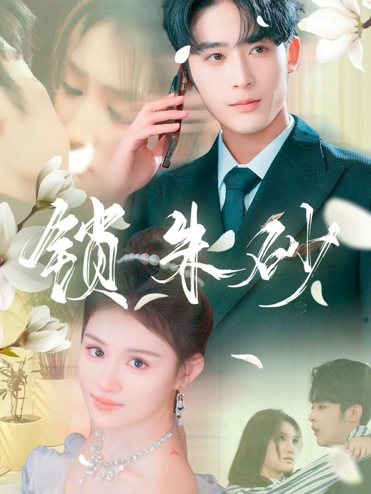 锁朱砂第21-40集