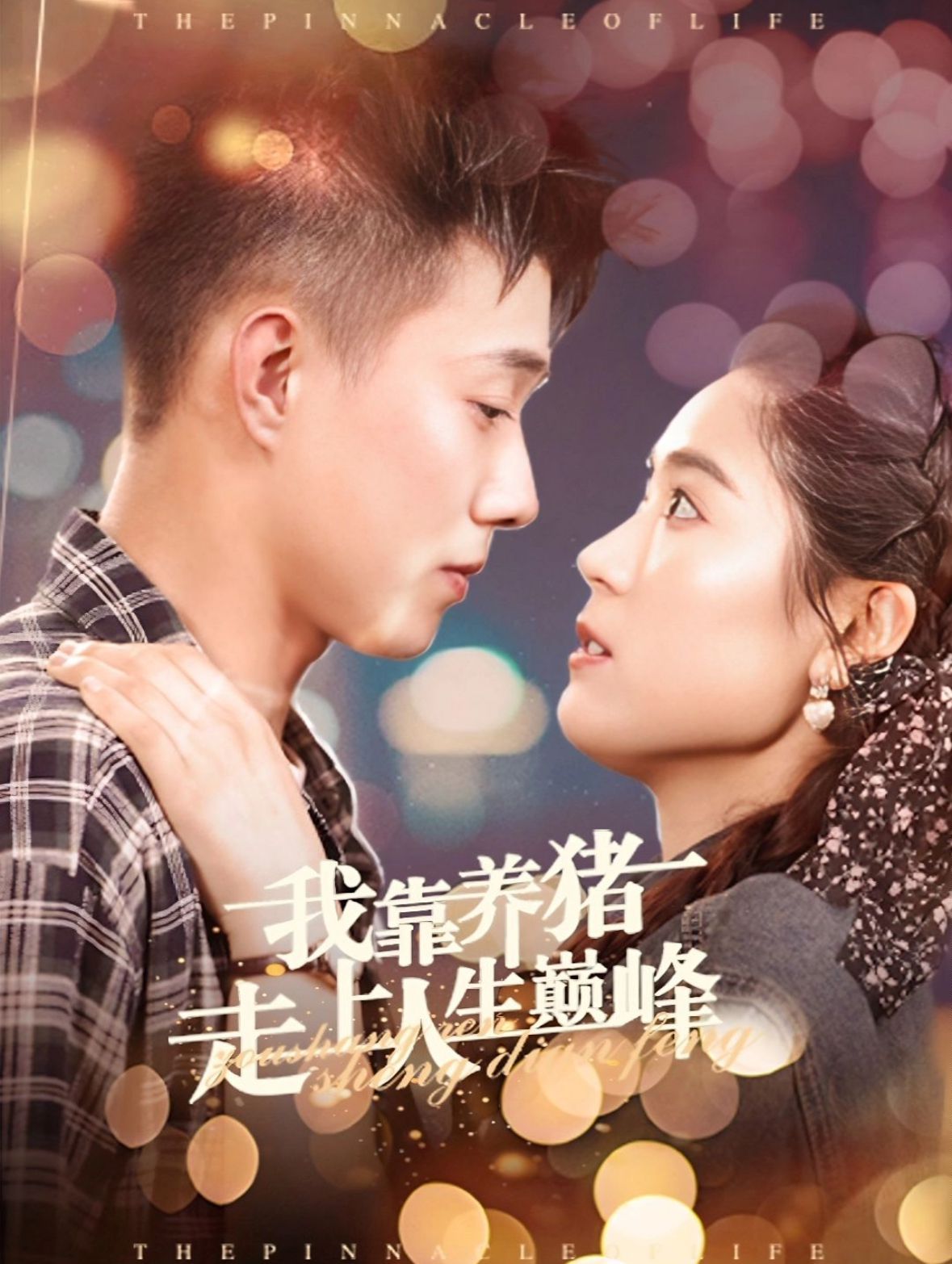 我靠养猪走上人生巅峰第21-40集