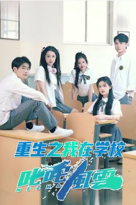 重生之我在学校叱咤风云第61-80集