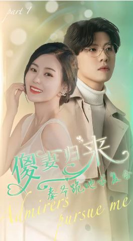 傻妻归来秦爷跪地求复合第41-60集