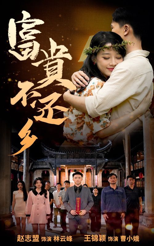 富贵不还乡第21-40集.