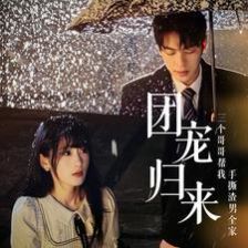 团宠归来三个哥哥帮我手撕渣男全家第21-40集