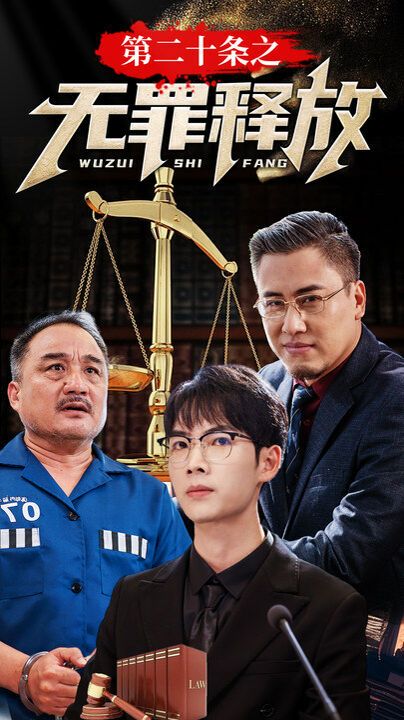 第二十条之无罪释放第41-60集