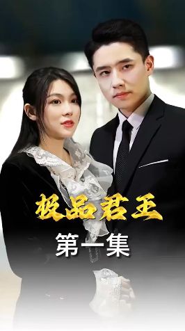 极品君王第1-20集