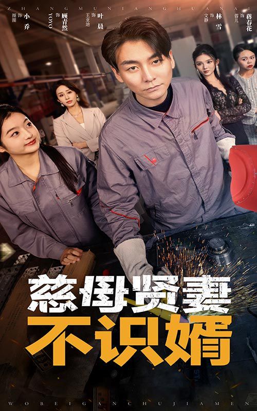 慈母贤妻不识婿第1-20集