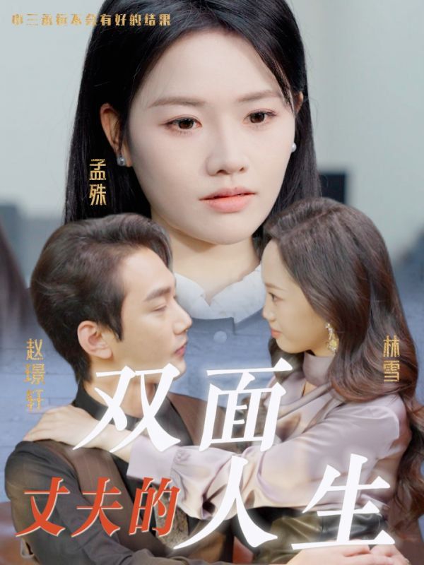 丈夫的双面人生第1-20集