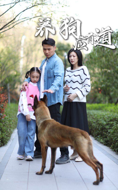 养狗应有道第31-60集完结(大结局)