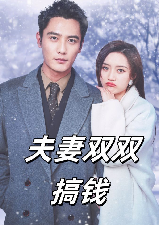 夫妻双双搞钱第21-40集