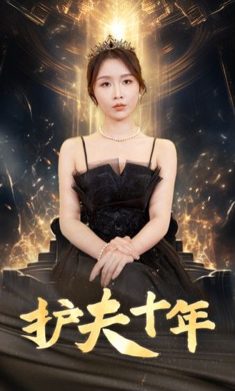 护夫十年第21-40集